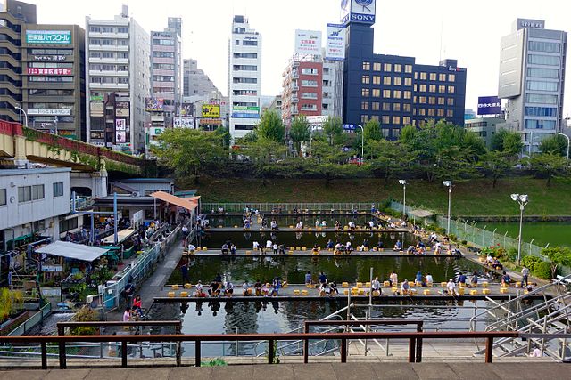 市ヶ谷フィッシュセンター(Pusat Ikan Ichigaya): "Simfoni Lautan di Tengah Kota"