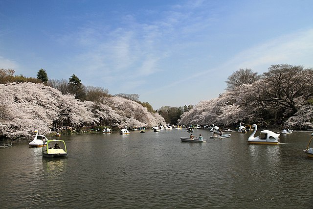 井の頭恩賜公園(Taman Hadiah Inokashira): "Serenade Alam di Taman Inokashira"