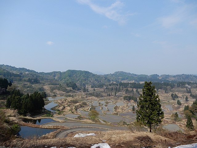 越後松代棚田群(Persawahan Berundak Emas): "Harmoni Alam dalam Lembah Padi"