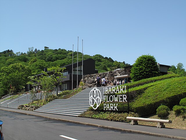 茨城県フラワーパーク(Taman Bunga Ibaraki): "Kembang Harapan di Taman Surga"