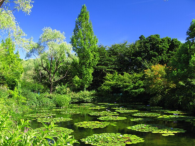 北川村モネの庭マルモッタン(Taman Monet di Desa Kitagawa): "Keajaiban Warna di Taman Monet"