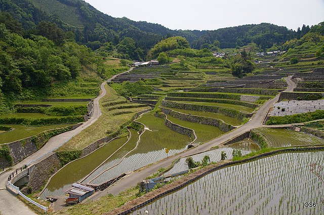 井仁の棚田 (Sawah Terasering Indah): "Lukisan Alam di Puncak Hijau"