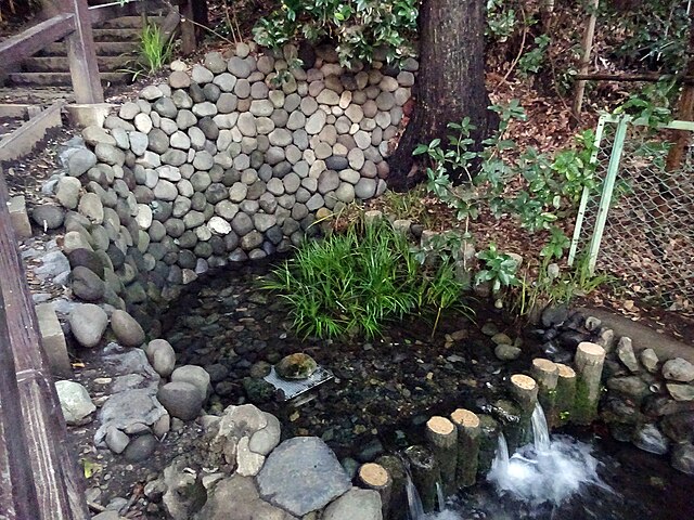 お鷹の道・真姿の池湧水群 (Jalan Elang dan Keindahan Air Mata): "Jejak Elang di Taman Air Suci"