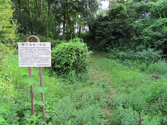 青木遺跡 (米子市)(Cagar Budaya Aoki): Jejak Sejarah di Tanah Aoki