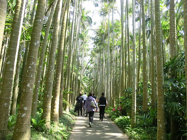 東南植物楽園(Taman Flora Timur): "Keharmonisan Alam di Taman Surga"