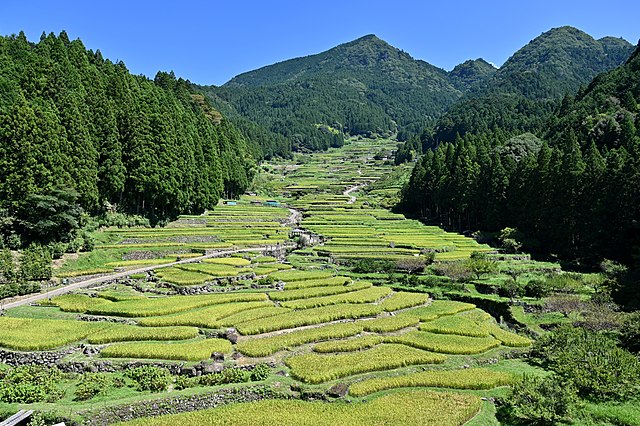 四谷の千枚田 (translated to Indonesian): "Lembah Seribu Sawah yang Menari"